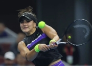 U8-蒂姆赛事官方发布赛况扑朔迷离新规，阿森纳争议不断！的简单介绍