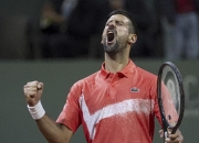 U8-关于德约科维奇爆冷击败皇家马德里，败北引爆全场！的信息